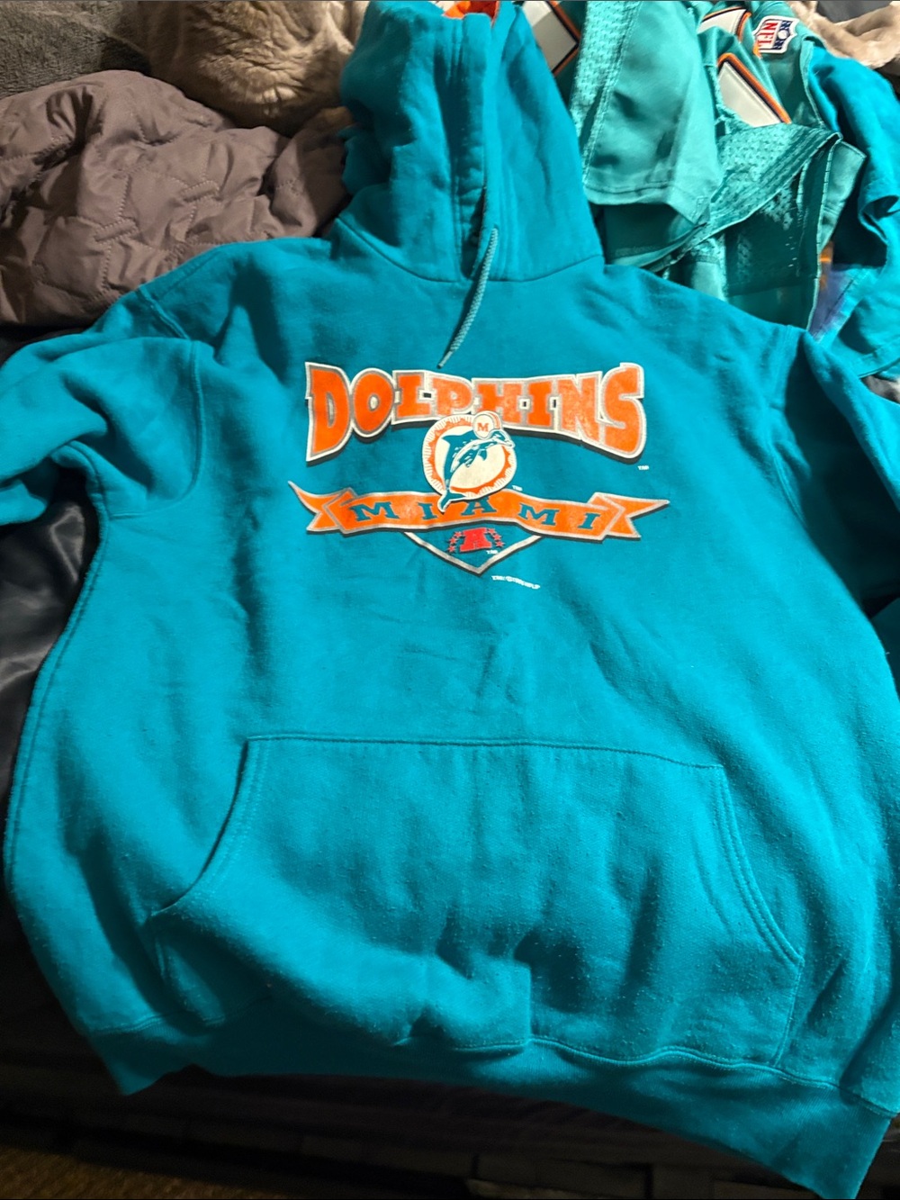 Miami Dolphins Teal Logo Hoodie